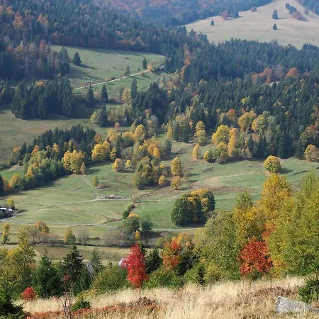 Appartement C1 Schwarzwald-fewo An Der Alb 50m Ferienwohnungapp Fuer Max 5 Personen Menzenschwand-Hinterdorf