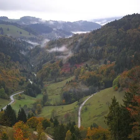 C1 Schwarzwald-fewo An Der Alb 50m Ferienwohnungapp Fuer Max 5 Personen * Menzenschwand-Hinterdorf
